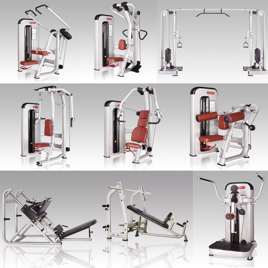 Danksport S-Line Kraftgeräte, Gerätepark mit ca. 22 Fitnessgeräten und Zubehör, Farbe Silber, Polster Braun - Neue Geräte / Ausstellungsgeräte