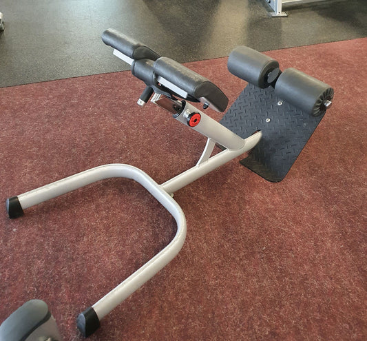 Gym80 Rückenstreckerbank 4119,  45 Grad, Hyperextension, Sygnum Serie, Rahmen Silber, Polster Schwarz, gebraucht - überholter Zustand