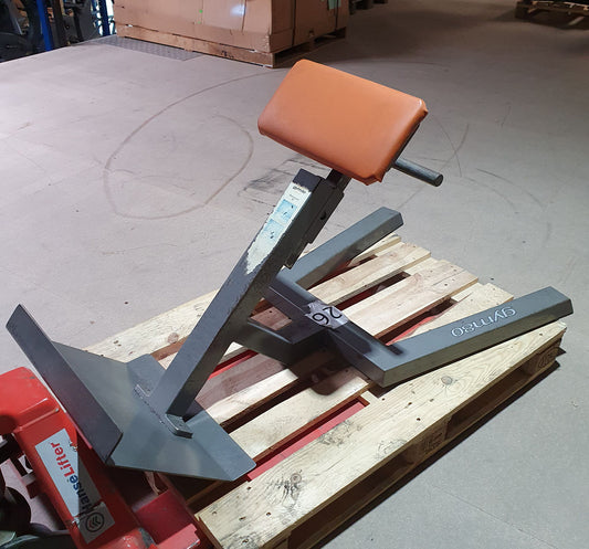 Gym80 Rückenstreckerbank, 45 Grad, Hyperextension, Rahmen Silber, Polster Braun, gebraucht mit Gebrauchsspuren