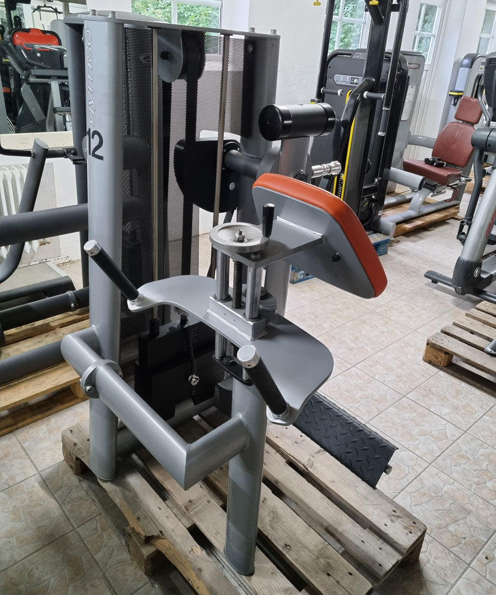 Gym80 Pomaschine stehend, Gluteusmaschine, Glutes Kick Radial, Sygnum Serie, Rahmen Silber, Polster Orange, gebraucht - überholter Zustand