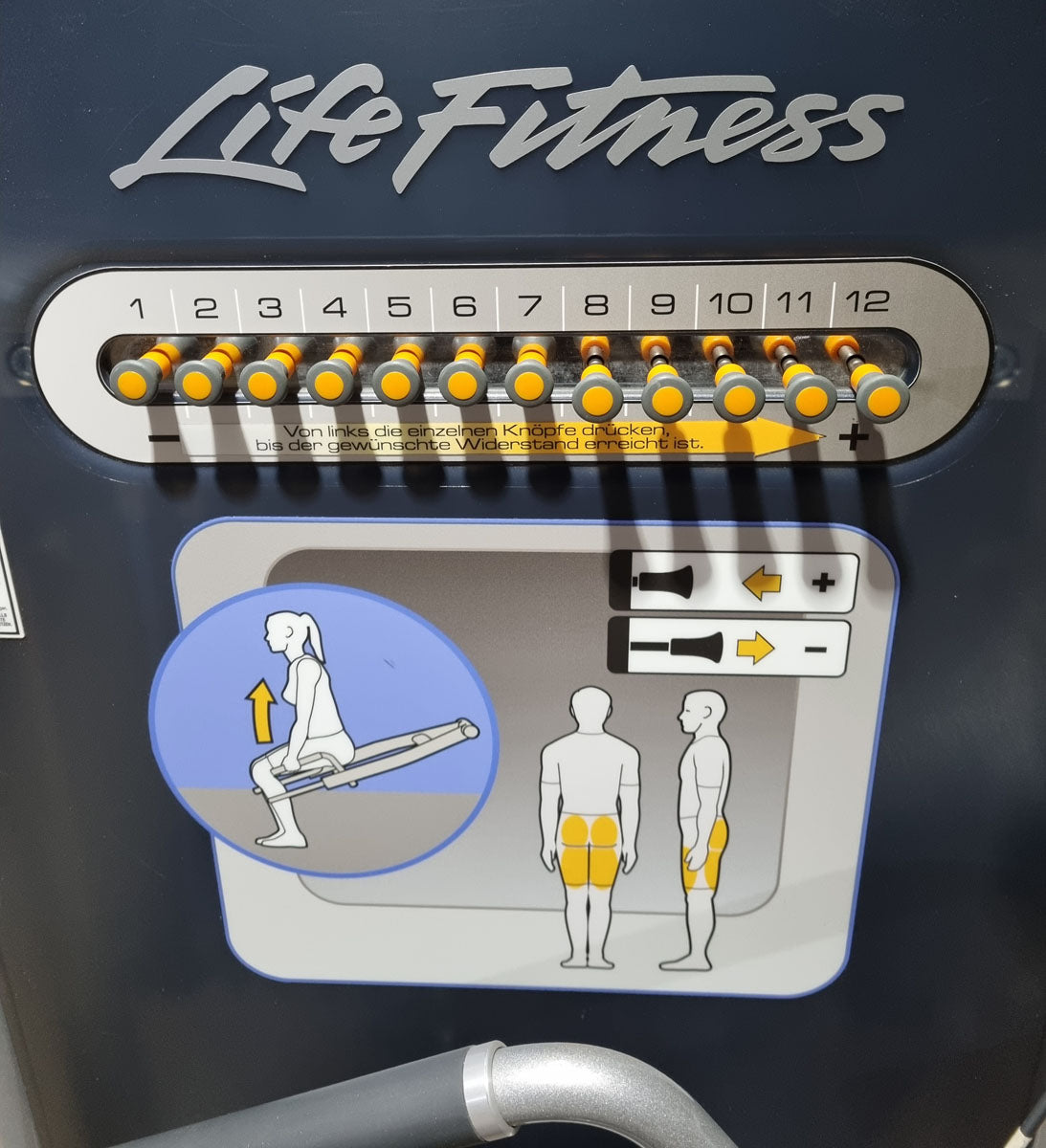 Life Fitness Squat Kniebeuge Maschine, Circuit Serie, Rahmenfarbe Silber, gebraucht - überholter Zustand