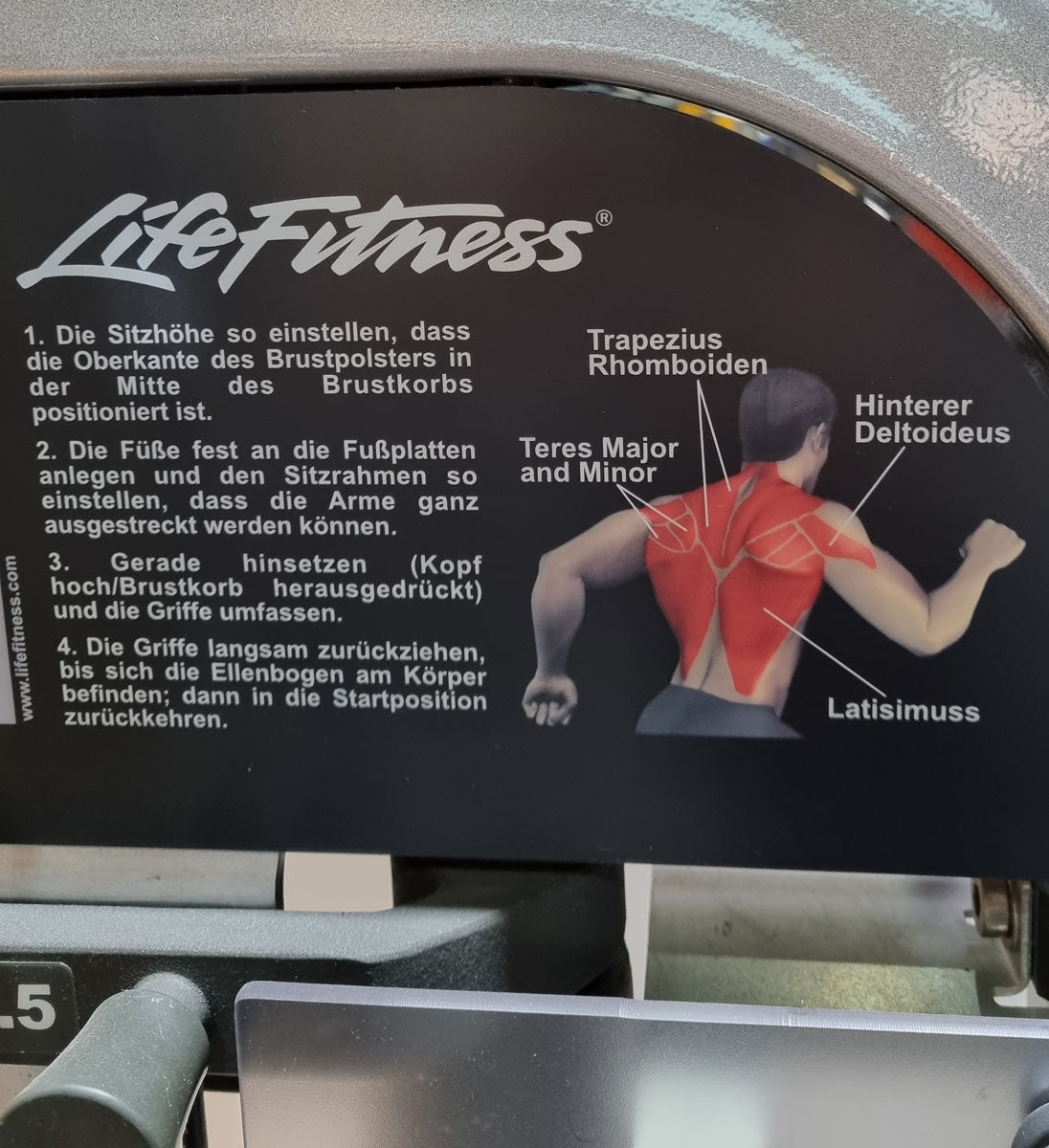 Life Fitness Rudern mit Bruststütze, Row, Pro2 Serie, Rahmenfarbe Silber, Polsterfarbe Rot, gebraucht - überholter Zustand