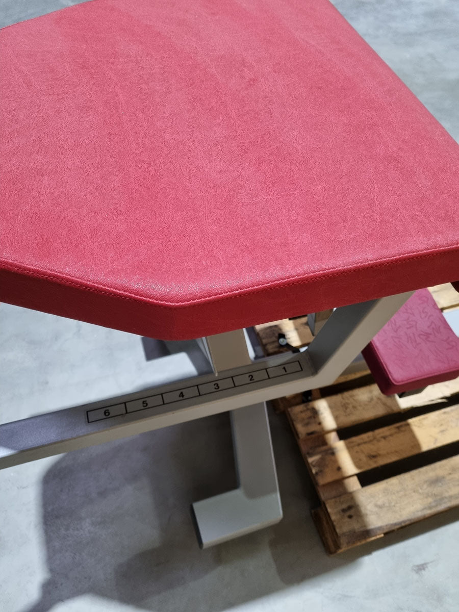 Dr. Wolff Gluteus Radial, Elypso 400 Pomaschine, Rahmenfarbe Silber, Polsterfarbe Rot, gebraucht - überholter Zustand