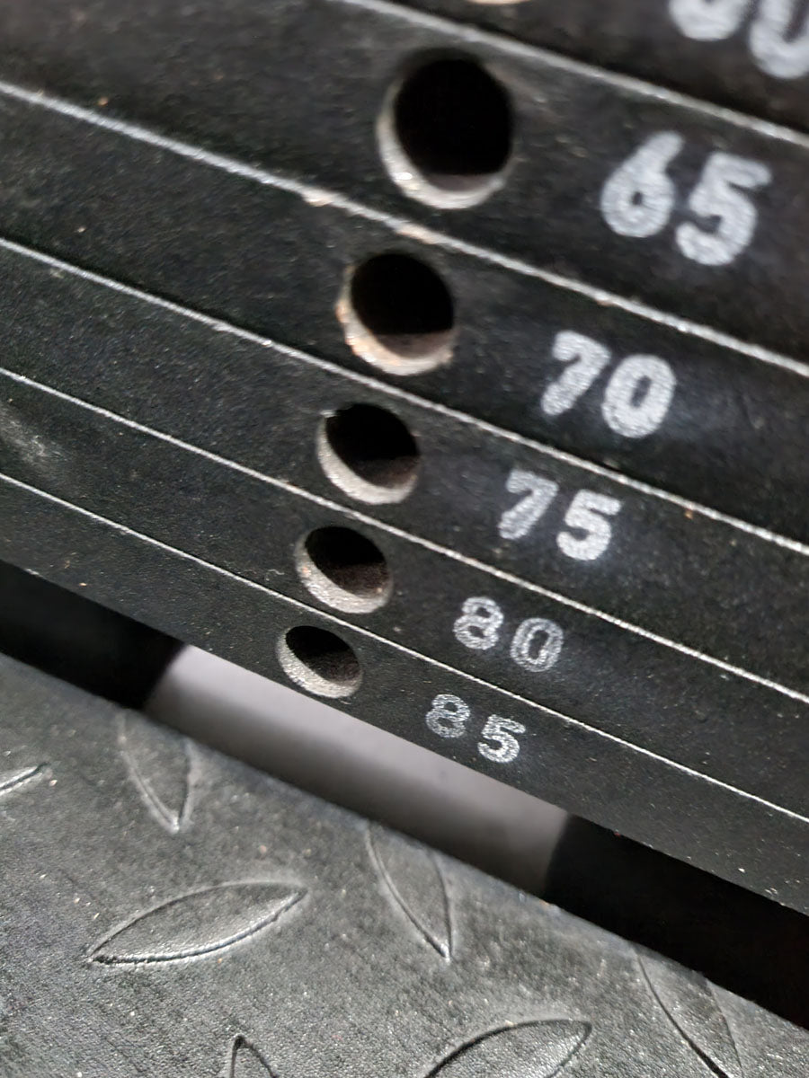 Gym80 Sygnum, twister machine, rotation machine, silver frame, used - refurbished condition