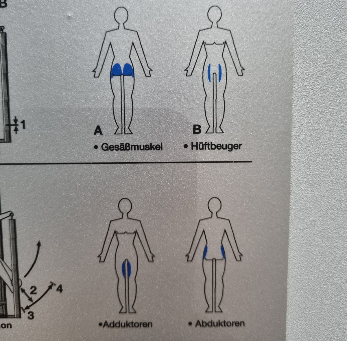 Frei Genius Eco hip machine, hip pendulum, hip machine, multi hip, kick machine, frame color silver, used - refurbished condition