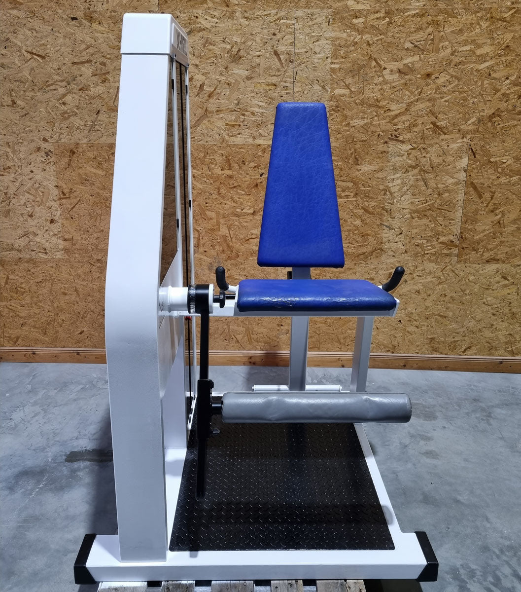 Schnell Beinstrecker und Beinbeuger sitzend im Set 2 Geräte - Neu lackiert - Leg Curl und Leg Extension, Rahmenfarbe Weiß, Polsterfarbe Blau, gebraucht - überholter Zustand