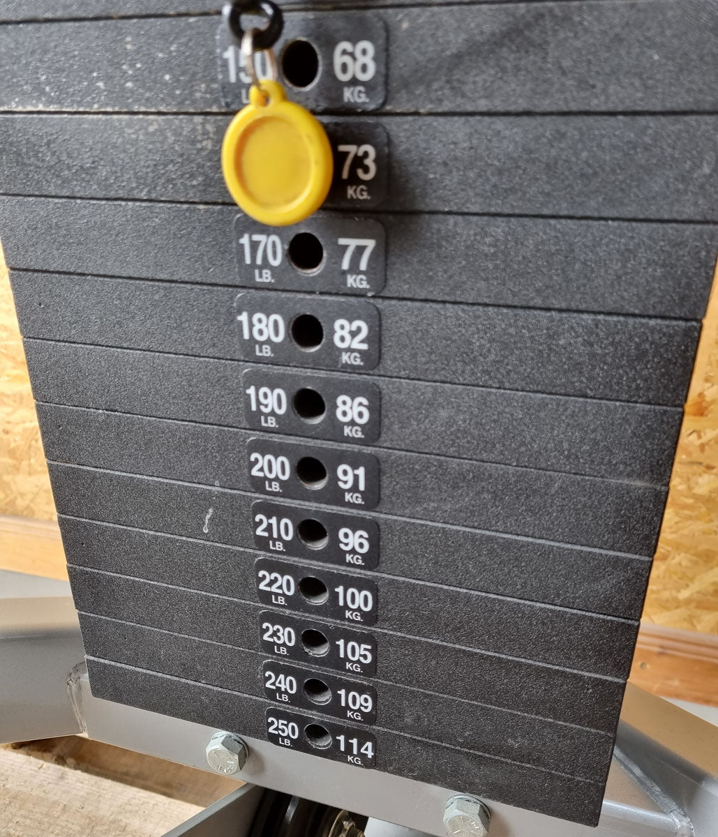 Nautilus Nitro Kabelzug Höhenverstellbar, Seilzug mit zwei Auszügen, Freistehend, Adjustable Tower Free Stand - F3ATFS - gebraucht - überholter Zustand