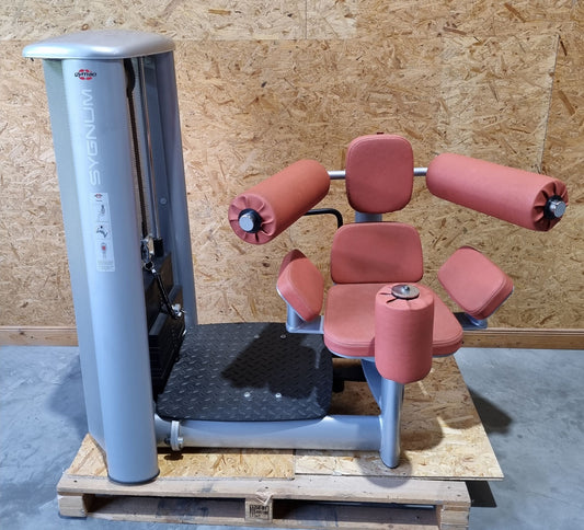 Gym80 Sygnum, Twistermaschine, Rotationsmaschine, Rahmen Silber, gebraucht - überholter Zustand
