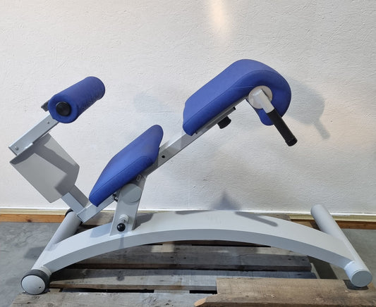 Frei Genius Basic Lateral-Lumbaltrainer, Hyperextension 15 bis 45° verstellbar, Rückenstreckerbank, Rahmenfarbe Silber, gebraucht - überholter Zustand