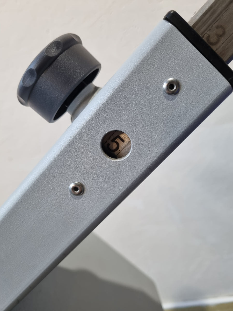 Frei Genius Basic Lateral-Lumbaltrainer, Hyperextension 15 bis 45° verstellbar, Rückenstreckerbank, Rahmenfarbe Silber, gebraucht - überholter Zustand