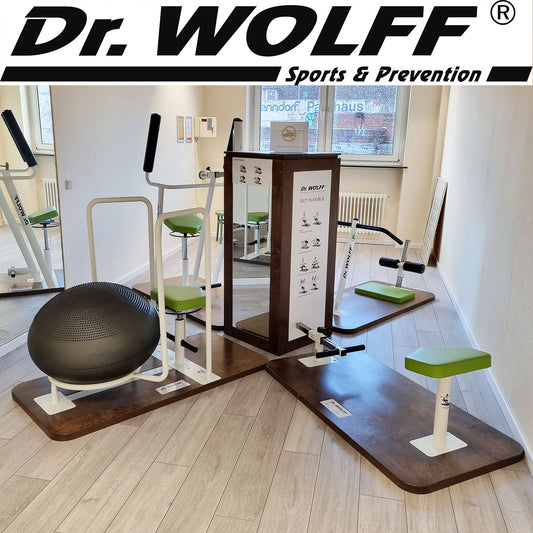 Dr. Wolff Get Flexible Zirkel, 4er Set Beweglichkeitstraining für Rücken und Gelenke, Beweglichkeitszirkel, Rückenzirkel zum dehnen, gebraucht - guter Zustand