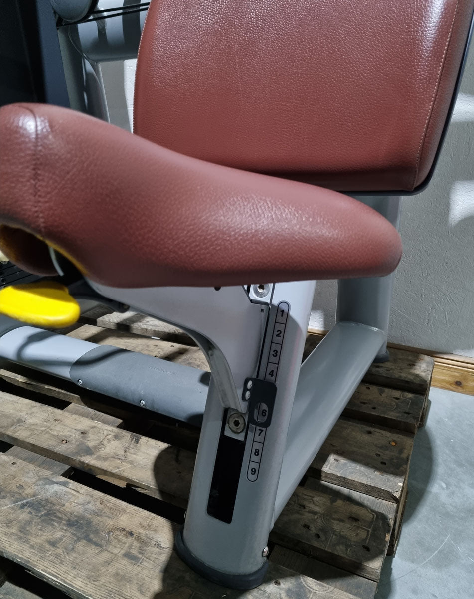 TechnoGym Schulterpresse, Shoulder Press, Selection Line - Rahmen Silber, Polster Braun, gebraucht - überholter Zustand