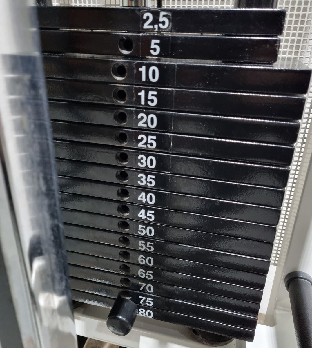 Technogym Ercoline Rehab, Kabelzug höhenverstellbar, Seilzug, Zugapparat 80kg, Rahmenfarbe Weiß, gebraucht - überholter Zustand