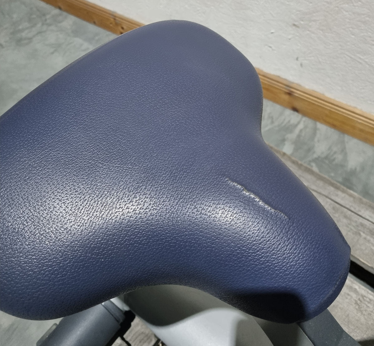 TechnoGym Scottcurl Bench, Scott bench, biceps training bench, color silver, upholstery blue, used