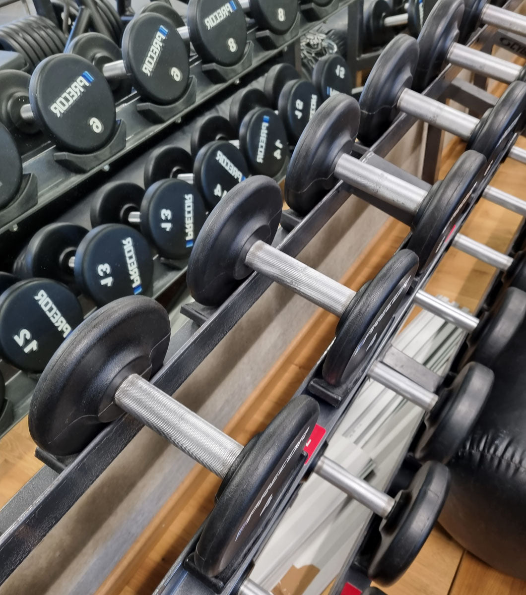 Precor Kurzhantel Satz aus PU Polyurethan Gummiert, 2 bis 30kg, verschiedene Stufen, erst 3 Jahre alt, Schwarz, gebraucht - guter Zustand