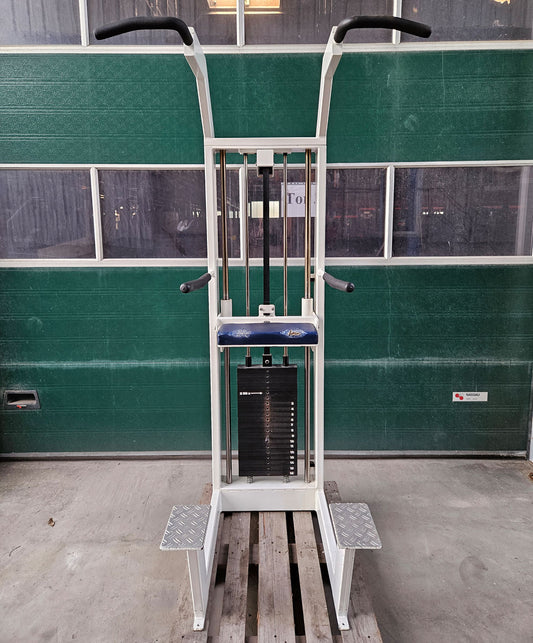 Sportesse DipChin, Dip-Klimmzugmaschine mit Gewichtsunterstützung, Rahmen Weiß, Polster NEU in Wunschfarbe, gebraucht