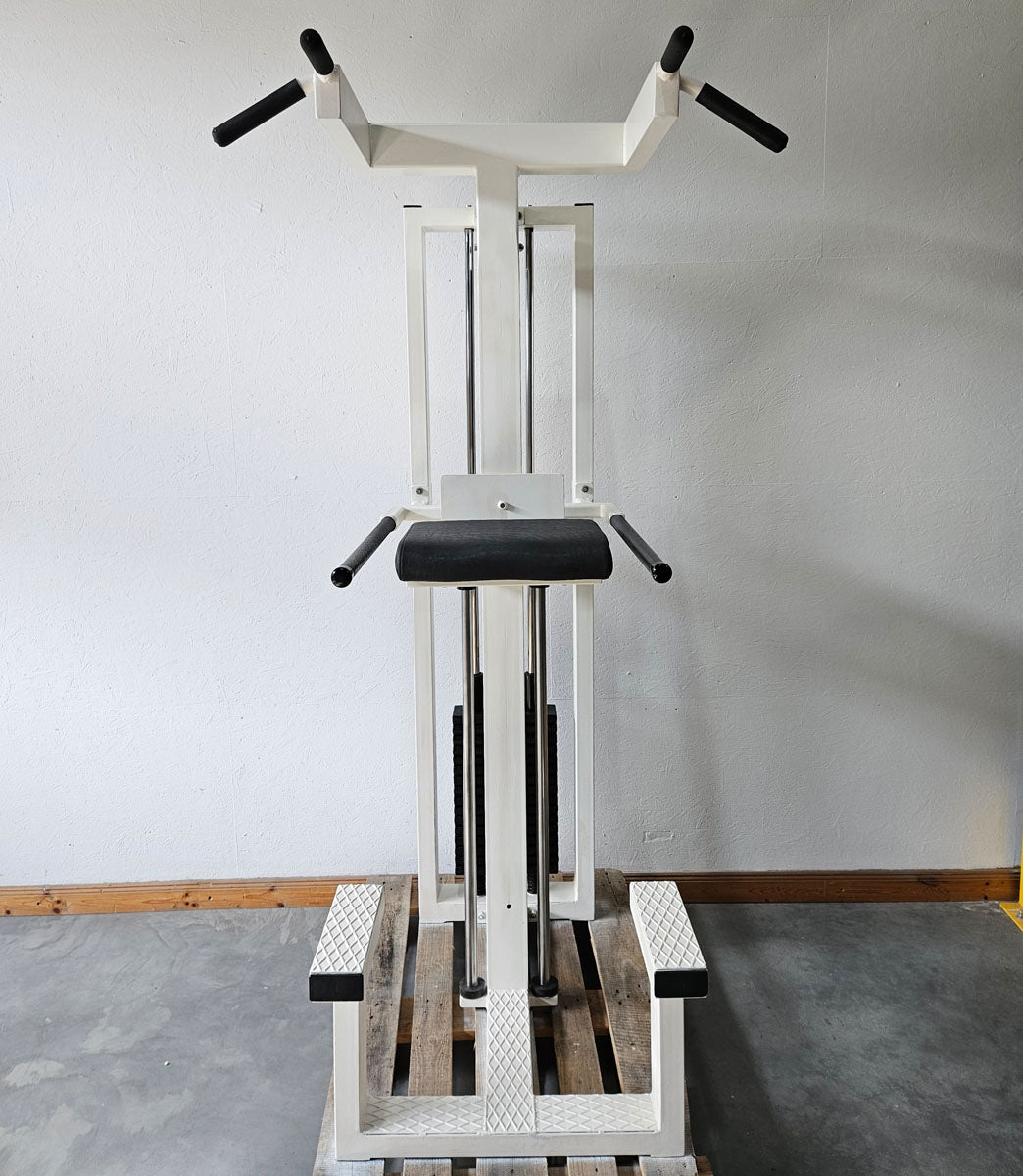 L+K Dip-Klimmzugmaschine mit Gewichtsunterstützung, Dip-Chin, Oldschool, Rahmen Weiß, gebraucht mit Gebrauchsspuren