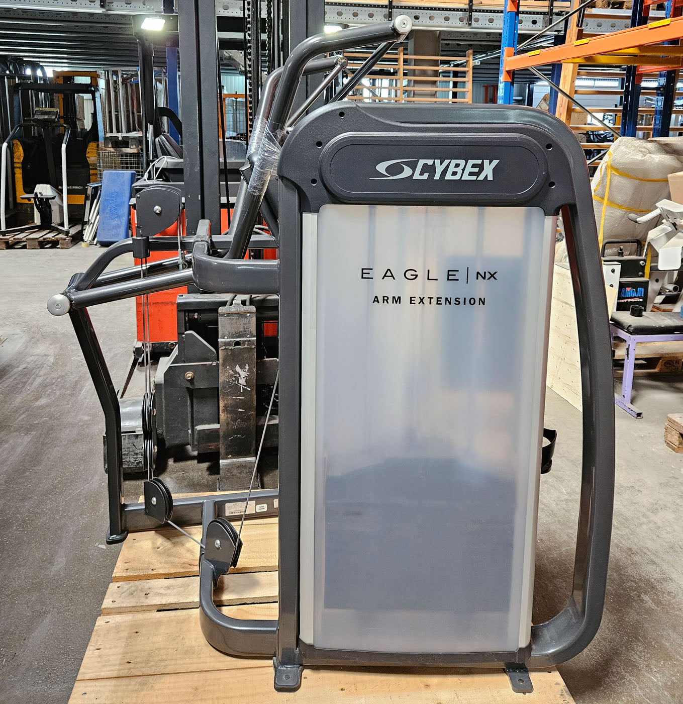 Cybex Eagle NX Arm Extension, Trizepsmaschine, Triceps Press, Rahmenfarbe Anthrazit, gebraucht - überholter Zustand