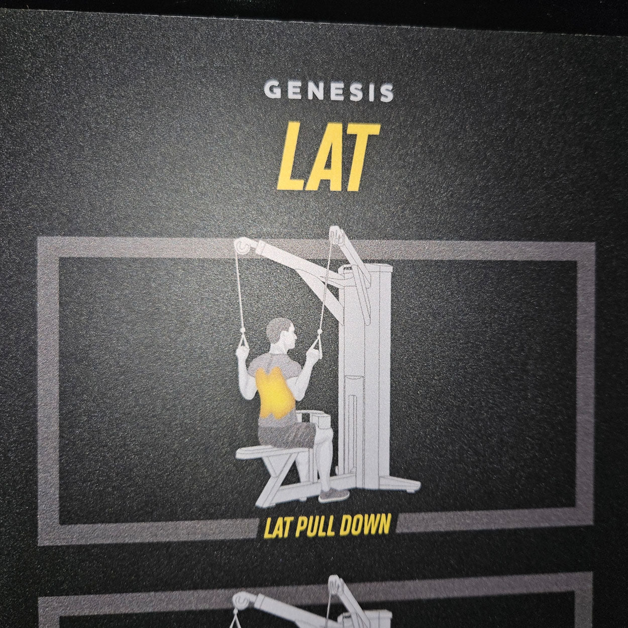 Freemotion Genesis Kraftgeräte Set, 10 Bilaterale Kabelzug Fitnessgeräte, Baujahr 2019 und 2020 - auch als Zirkel nutzbar, Made in USA - gebraucht - Neuwertiger Zustand