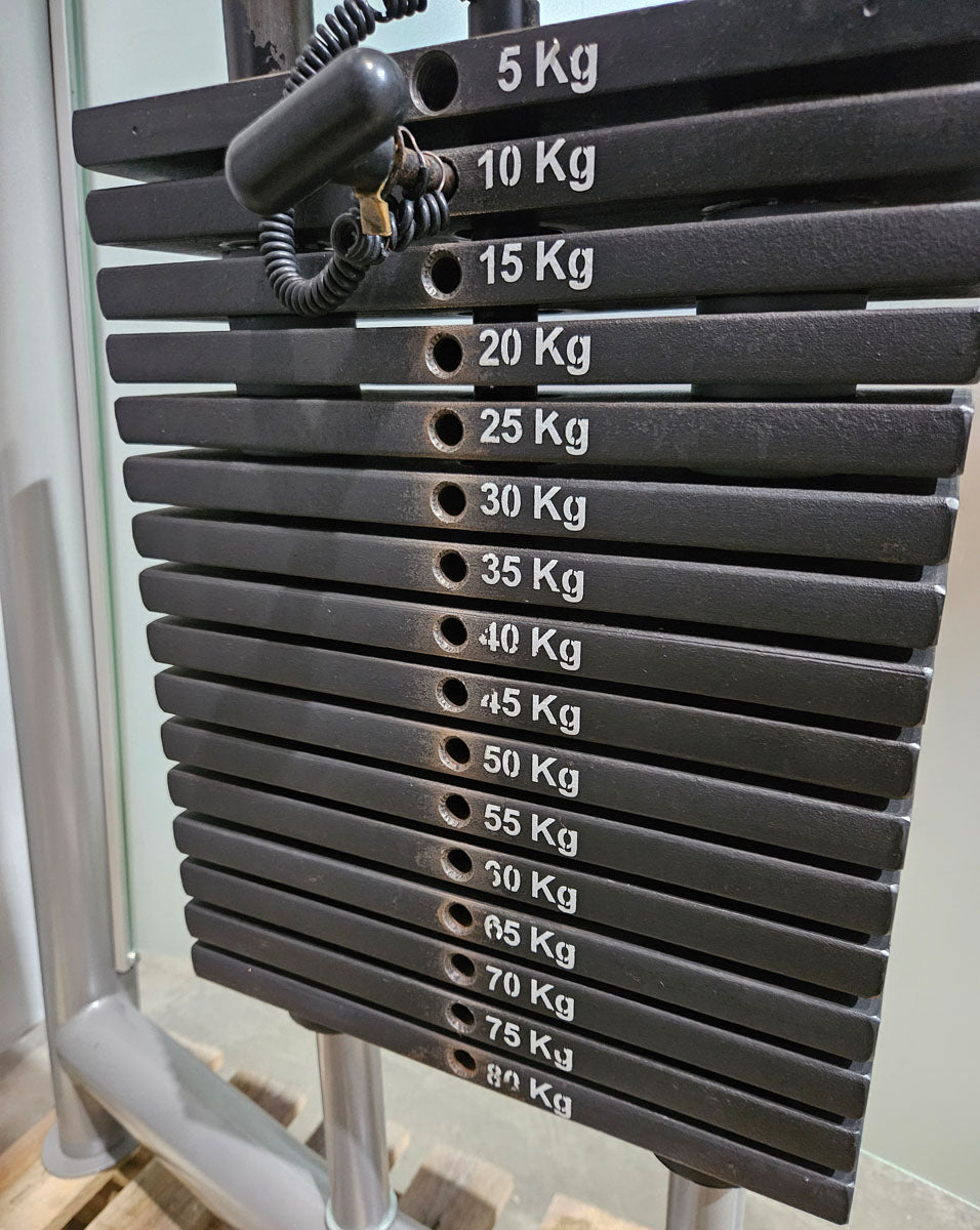 AS Sport or Proxowell Butterfly and Reverse, 2 in 1 COMBINATION MACHINE, chest posture stabilizer, frame color silver, used - overhauled condition