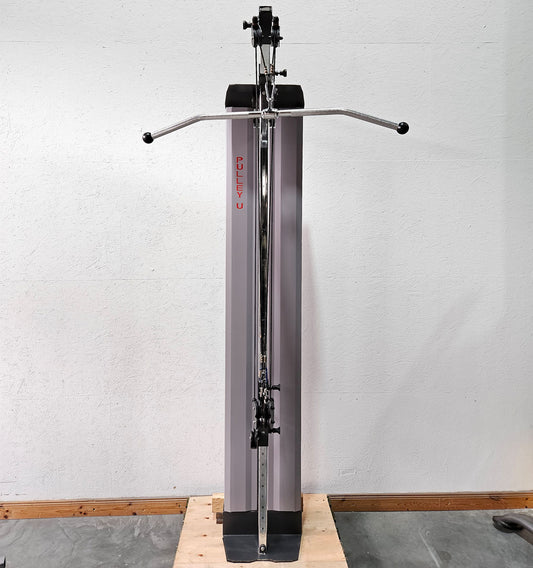 Pego Sport Pulley U, Vertikalzug - Universalzug 80 kg (Wandmodell) Seilzug Kabelzug für Physio und Reha, Made in Germany - gebraucht - überholter Zustand
