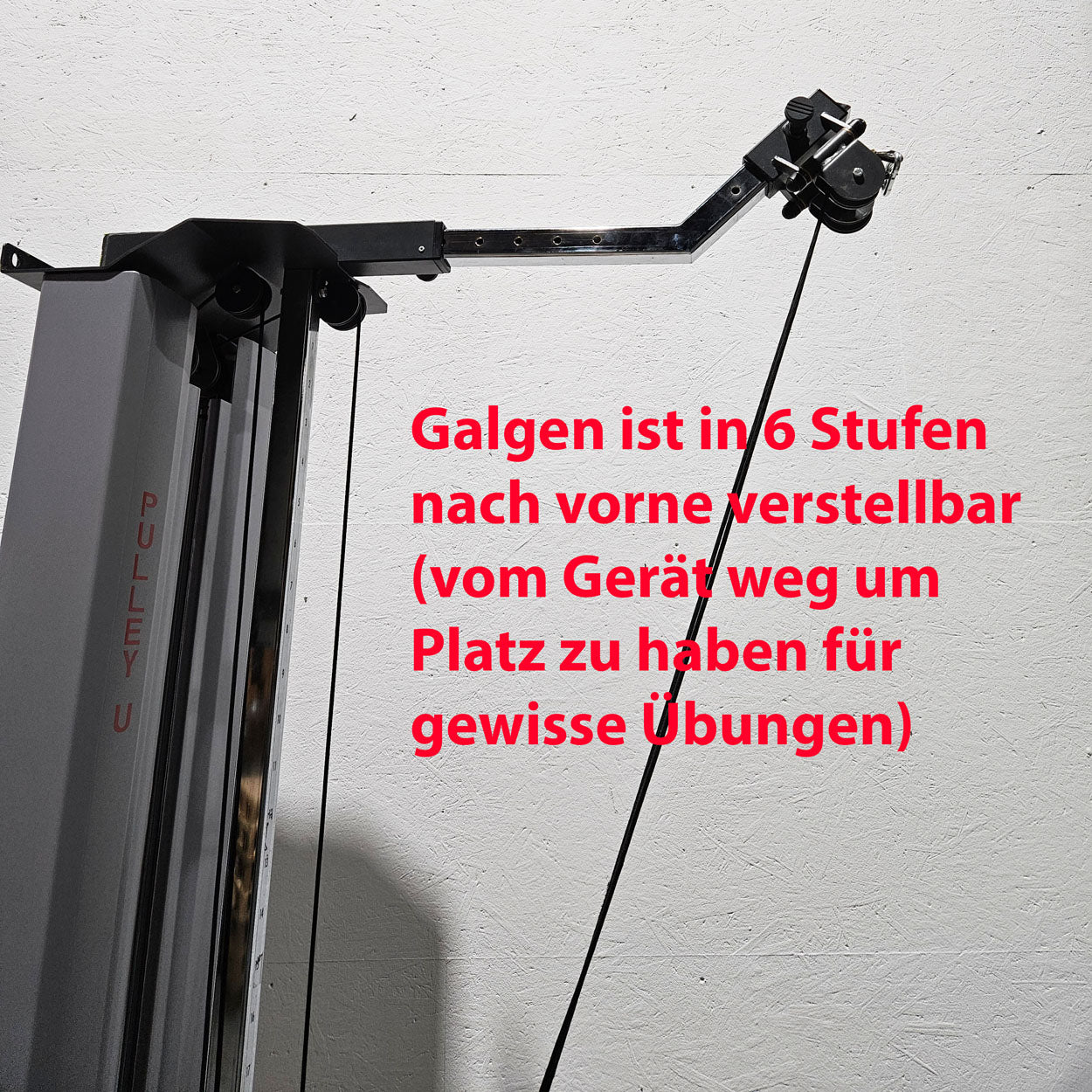 Pego Sport Pulley U, Vertikalzug - Universalzug 80 kg (Wandmodell) Seilzug Kabelzug für Physio und Reha, Made in Germany - gebraucht - überholter Zustand