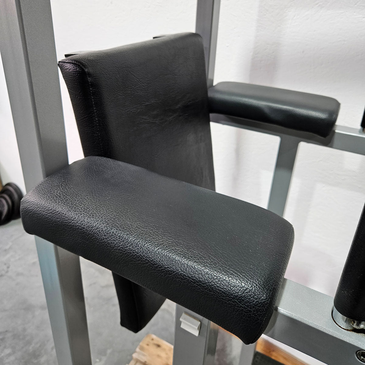 Technogym 3 in 1 machine, dips, leg raises and pull-up stand, Silverline, frame silver, used - tested condition with signs of wear