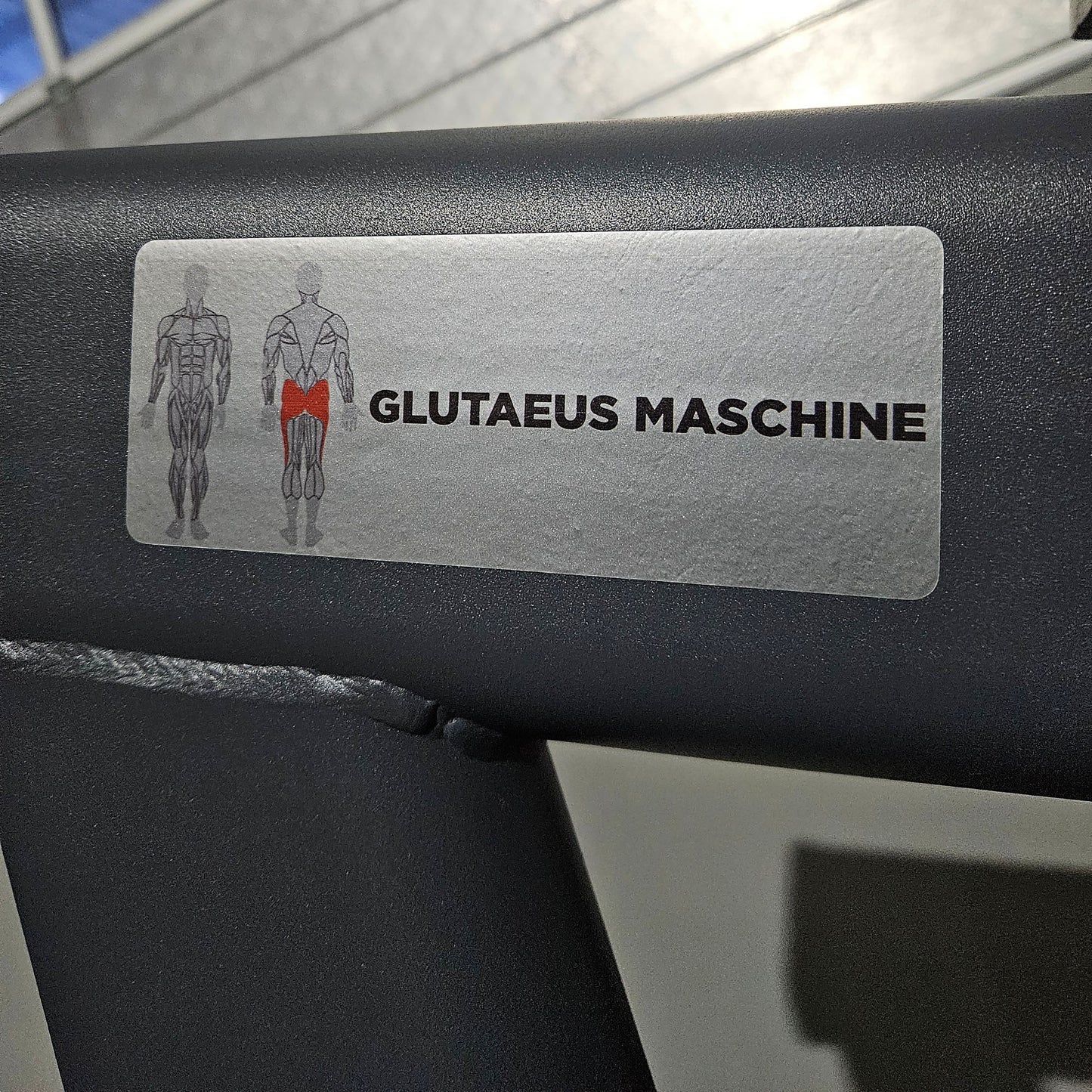 Master Sport Gluteusmaschine, Plate loaded Kraftgerät Glutes Kick Radial, Pomaschine stehend, Farbe Anthrazit, gebraucht - geprüfter Zustand