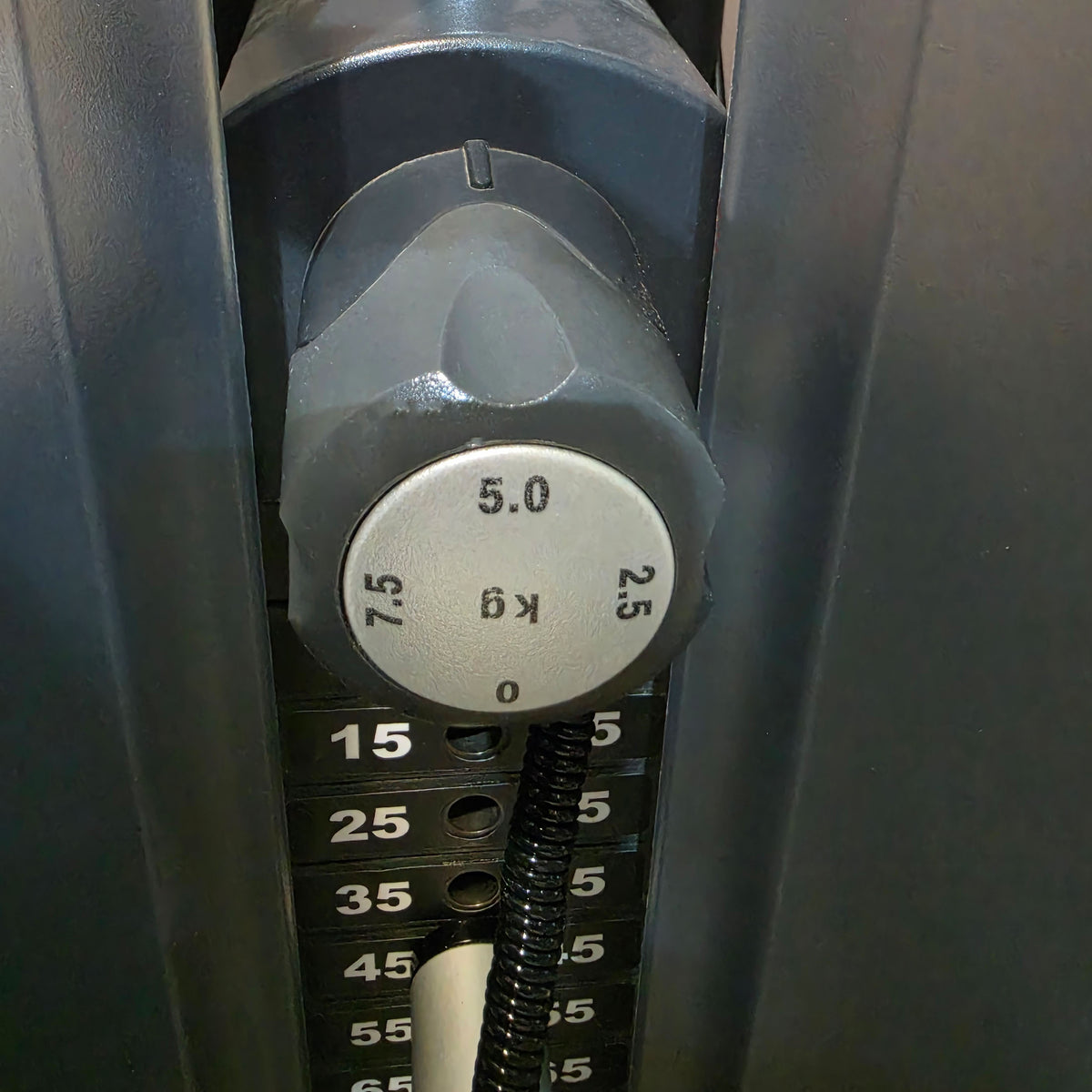 Life Fitness Trizepsmaschine Dip, Armstrecker Triceps, 135kg Gewichtsblock, Signature Series, Rahmenfarbe Silber, gebraucht - überholter Zustand