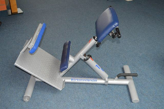 Kaphingst Hyperextension 45 Grad / Rückenstrecker, Silber, verstellbar, gebraucht