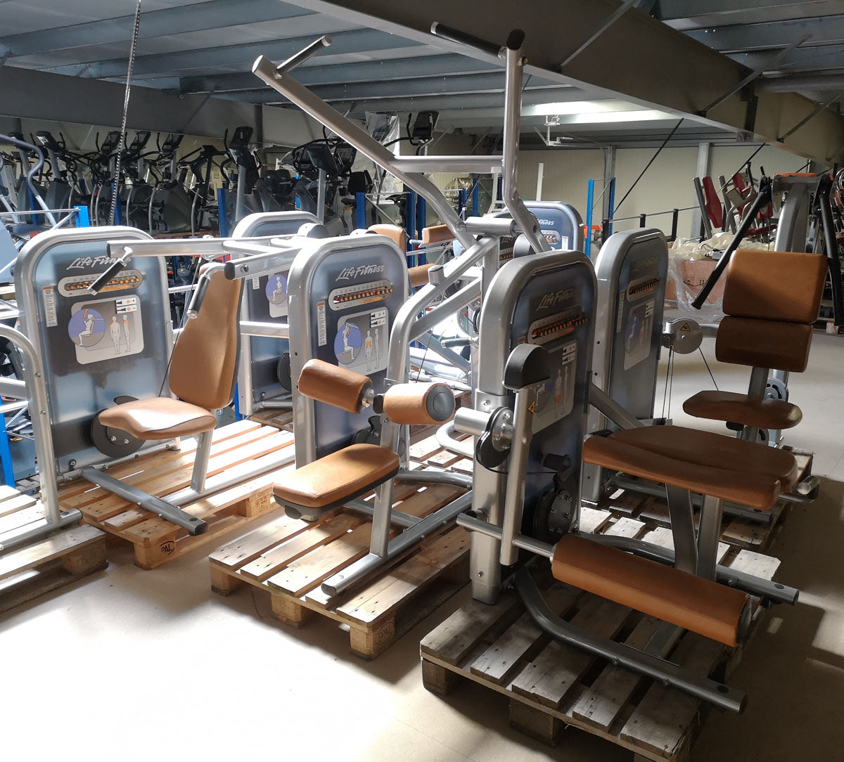 Life Fitness & Hammer Strength - 93 Fitnessgeräte - Kraftgeräte, Cardiogeräte, Plate loaded Geräte, Bänke etc - komplettes Fitnessstudio - gebraucht - TOP Zustand