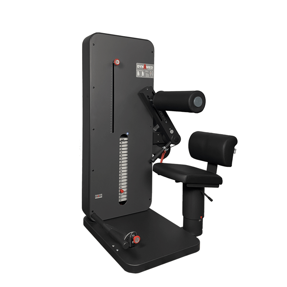 Dynamed Rücken- / Bauchtrainer, 2 in 1 Kombigerät, Stolzenberg - NEU