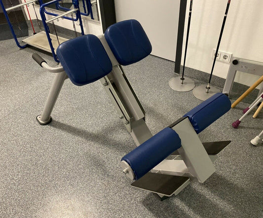 Ergo-Fit Hyperextension 45° / Rückenstreckerbank, verstellbar, Rahmen Silber, Polster Blau, gebrauchter - überholter Zustand