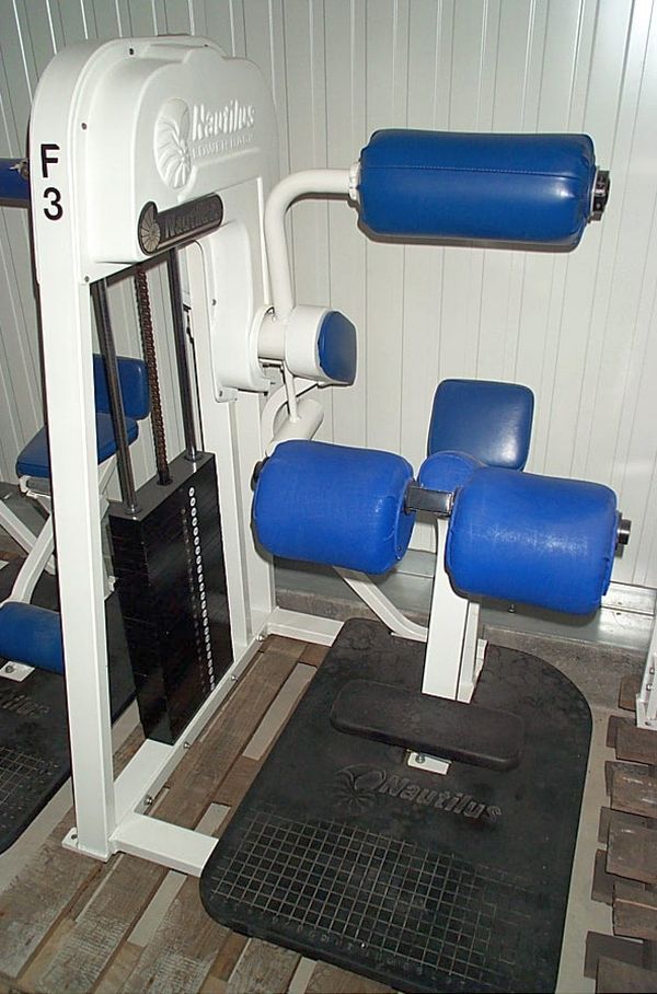 Nautilus Hyperextension, Rückenstrecker, lower back, Weiß, gebraucht