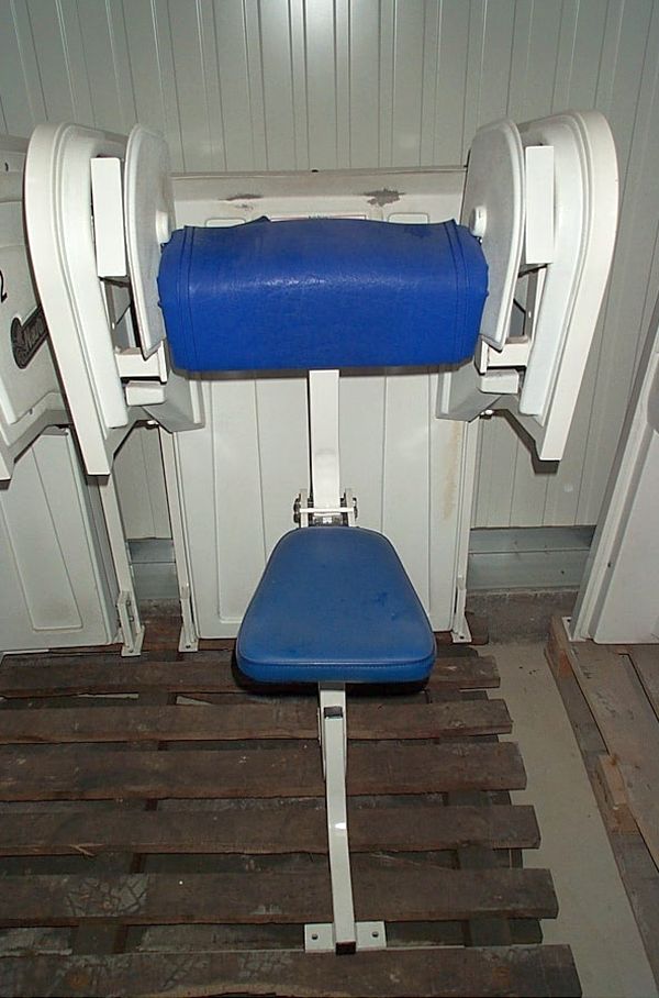 Nautilus Bizepsmaschine, Bizeps, Weiß, gebraucht