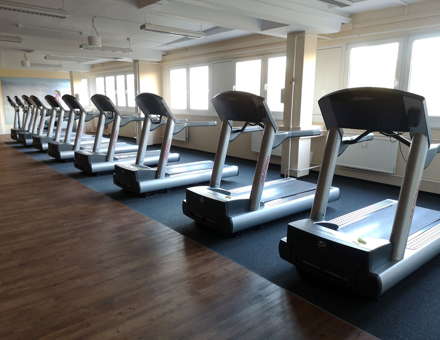 Life Fitness Laufband 95T - Integrity Serie 95t - LED Display Konsole, gebraucht - überholter Zustand