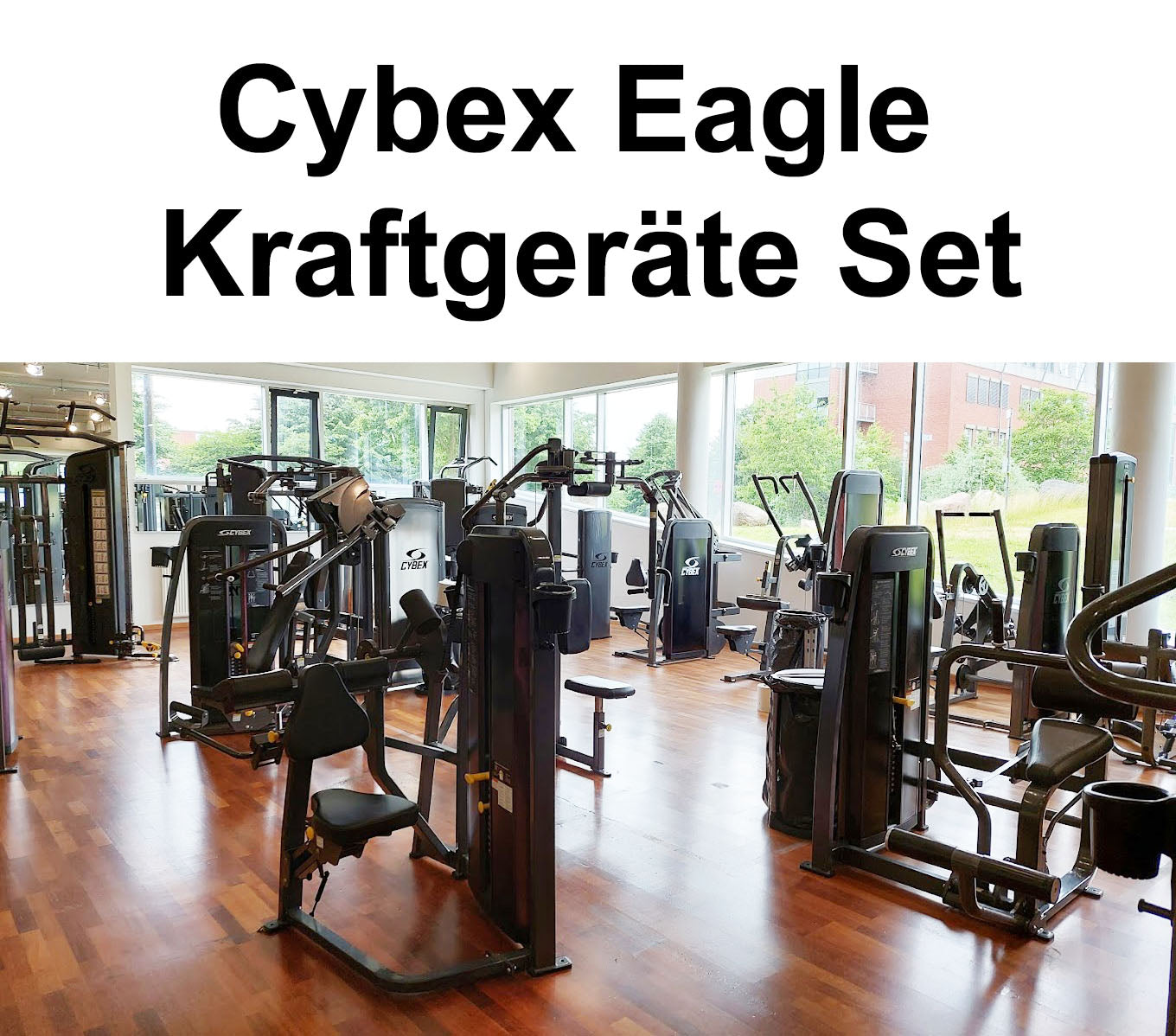 cybex kraftgeräte Cybex Eagle Strength Training Set – 17 pieces of fitness equipment