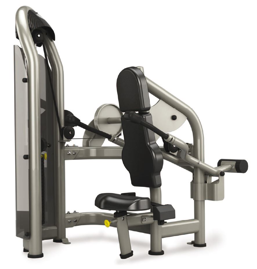 Matrix Aura G3-S42 Trizepsmaschine, Dips, Armstrecker, Farbe Silber, gebraucht - überholter Zustand