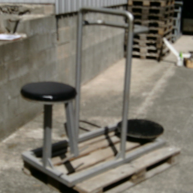 Galaxy Twister, rotary machine, 1 sitting, 1 standing, used