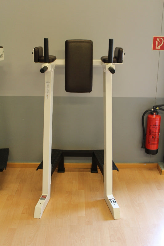 Gym80 Dip- und Beinhebenständer, Leg Raise, Edition Line, Rahmen Weiß, Polster Dunkelbraun, gebraucht - überholter Zustand