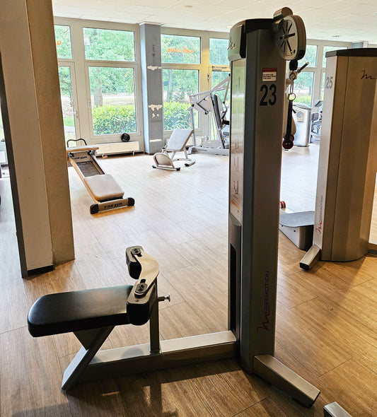 Freemotion Row G604 - Rudern am Kabel, Rudermaschine, Rücken Krafttrainingsgerät aus der Genesis Serie, Rahmenfarbe Silber, gebraucht - überholter Zustand