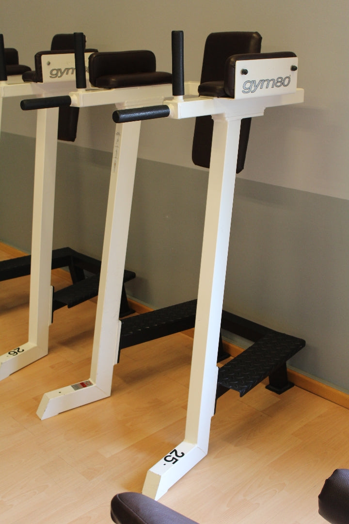 Gym80 Dip- und Beinhebenständer, Leg Raise, Edition Line, Rahmen Weiß, Polster Dunkelbraun, gebraucht - überholter Zustand