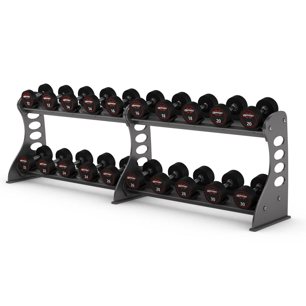 Gym80 Kurzhantelständer 4050 Lang, Sygnum, Silber, gebraucht - überholter Zustand