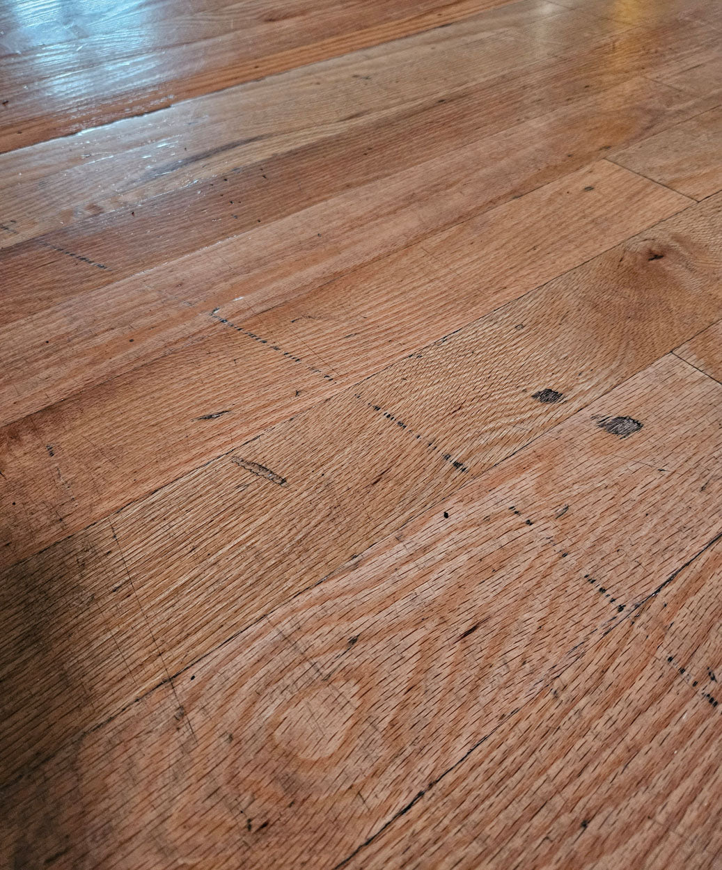 Hammer Strength HD Elite Half Rack mit Holzboden und Pull Up Bar, Rahmenfarbe Schwarz, gebraucht - überholter Zustand