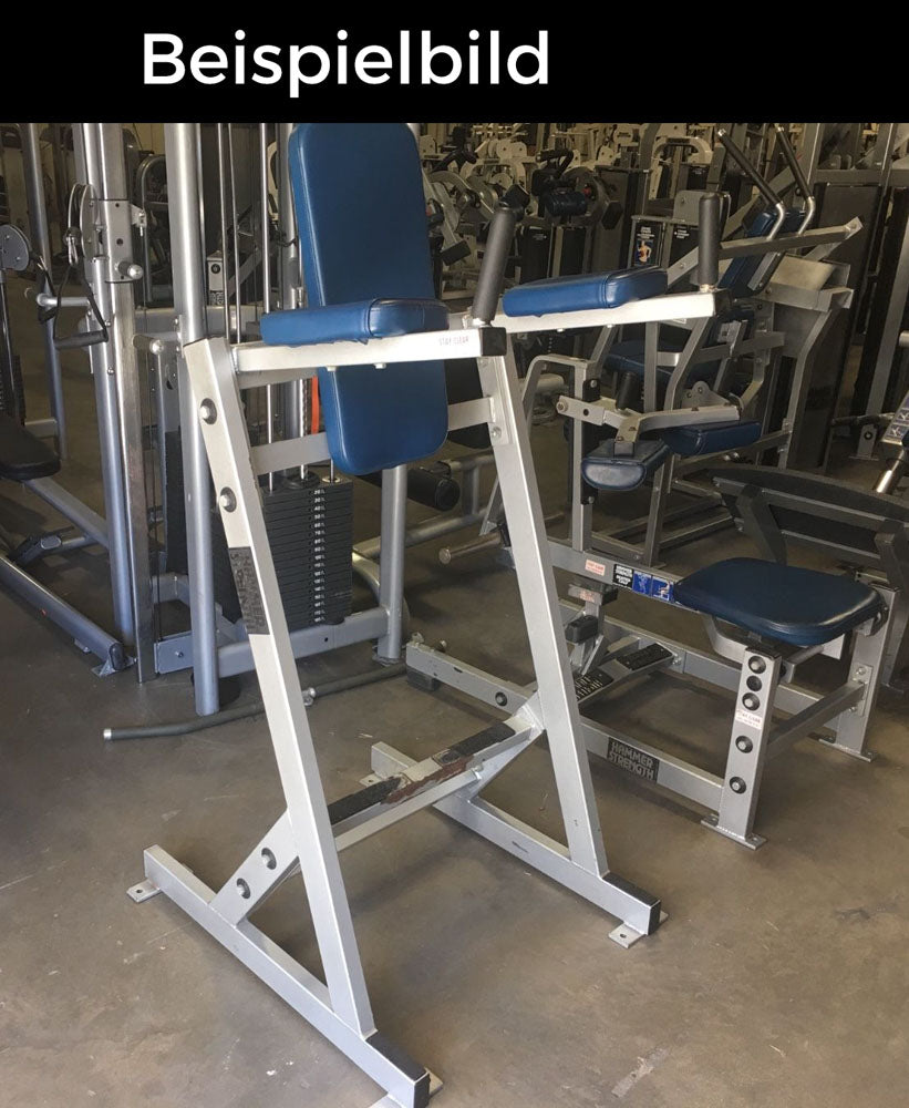 Hammer Strength Leg Raise Rack, Leg Raise Stand, Color Black, Good Used Condition