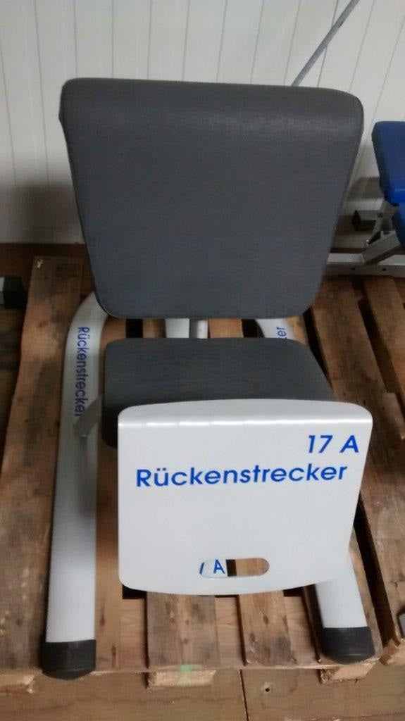 Kaphingst Hyperextension / Back Extension, Knee Position, Adjustable, Used