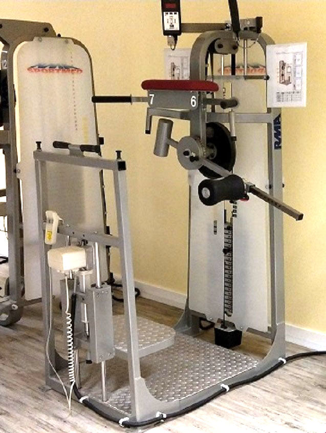 RMA hip pendulum - kick machine - Multi Hip, standing, silver, used - overhauled condition