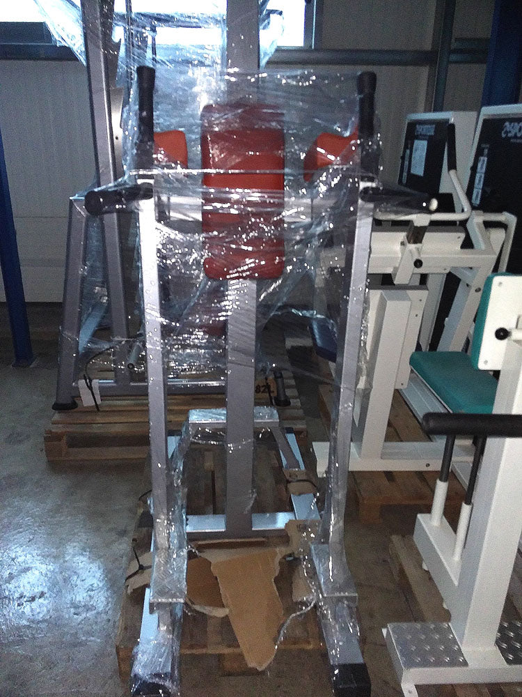 Pull-up, dip, leg raise, ab station, tri machine, silver, sturdy, used