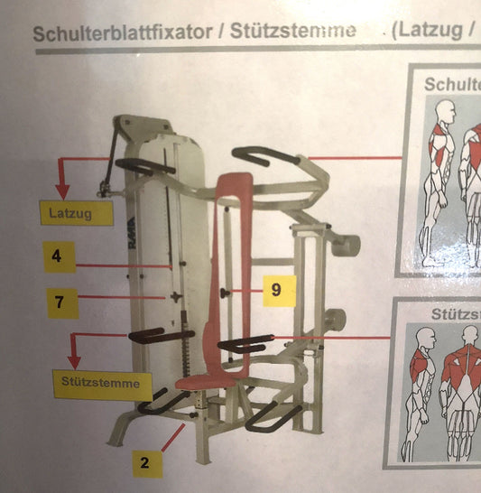 RMA Schulterblattfixator / Stützstemme - Latzug und Dips - Kombigerät 2 in 1 - Silber, gebraucht - überholter Zustand