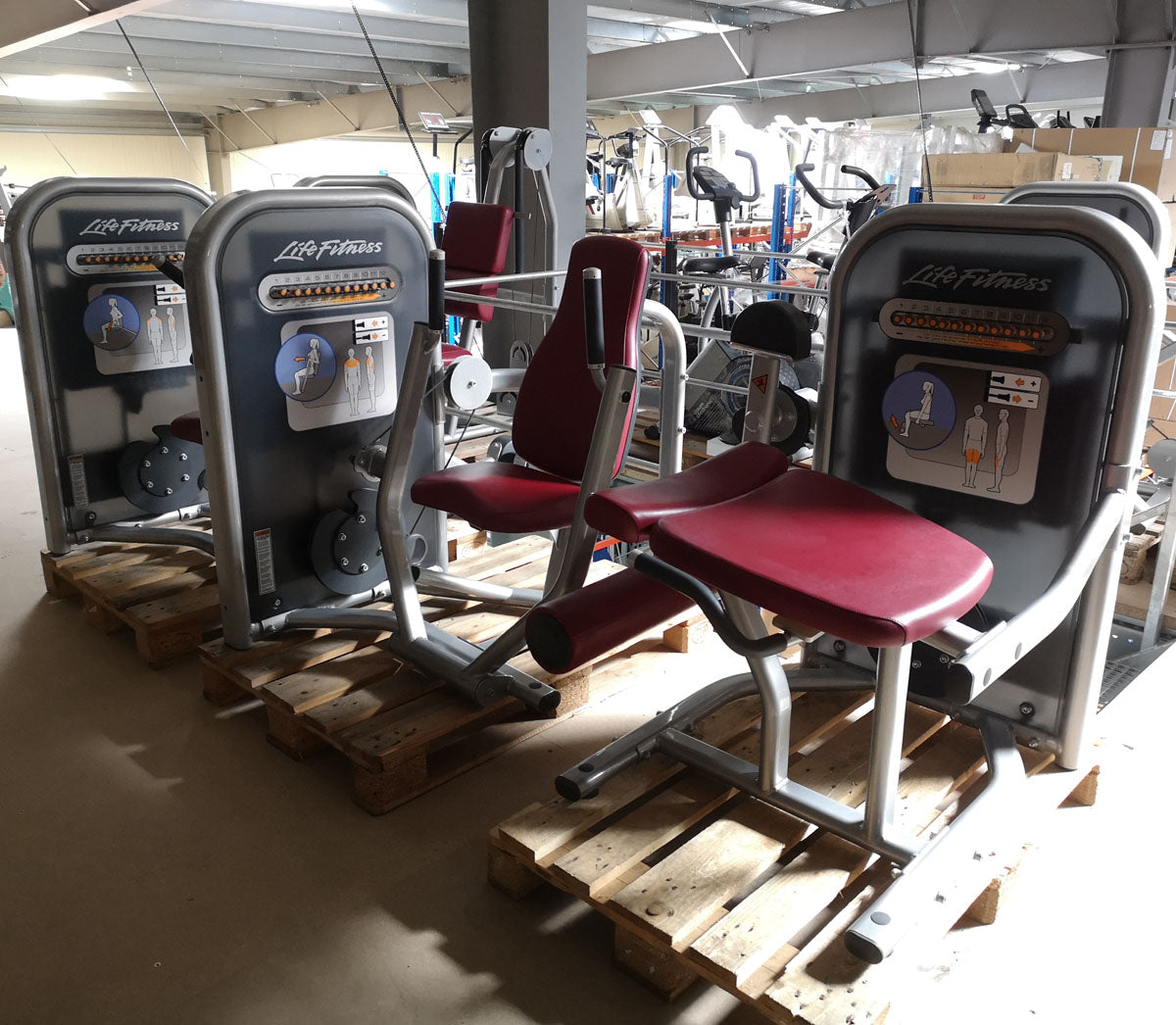 Life Fitness Zirkel mit 8 Fitnessgeräten, Circuit Series Set, Polster Rot, gebraucht - überholter Zustand